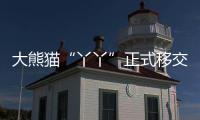 大熊猫“丫丫”正式移交中方！