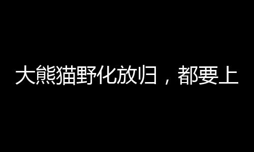 或者育幼能力强的培训课个体