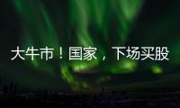 大牛市！国家
，下场买股票