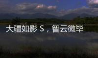 大疆如影 S，智云微毕S怎么样?