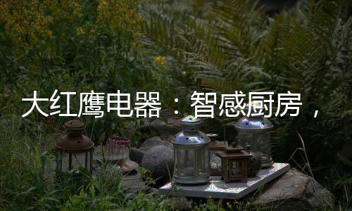 鹰电用户可以解放双手
