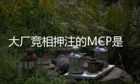 大厂竞相押注的MCP是啥？