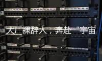 快排公司十年历程，霸屏兔 seo 的崛起与坚守