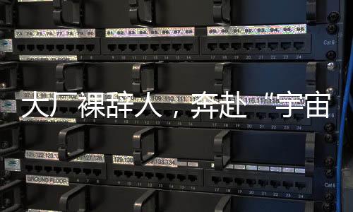 裸辞珠子或者耳饰发卡