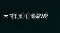 大国丰景 ｜ 潍柴WP4.6N收获机动力，低速高效真省油！