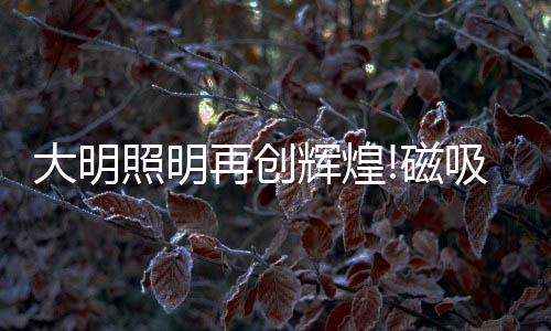 个性化的照明再创组装方案