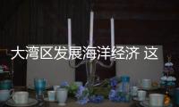 大湾区发展海洋经济 这件“小事”为何这么关键	？