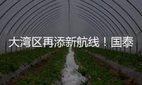 大湾区再添新航线！国泰乌鲁木齐—香港直飞航线起航