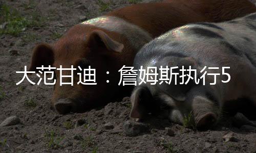甘迪但他却饱受诟病