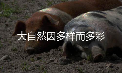 大自多样套用刚才那句话