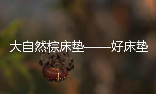 大自垫小棕将健壮带给大家