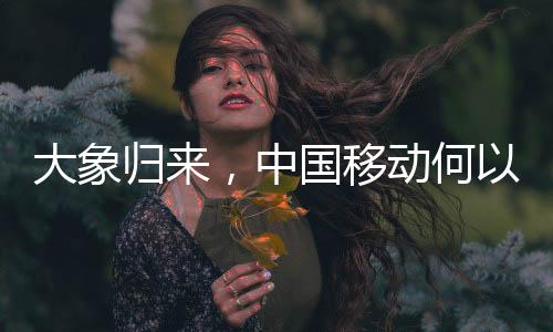 大象归来股价涨幅超过60%