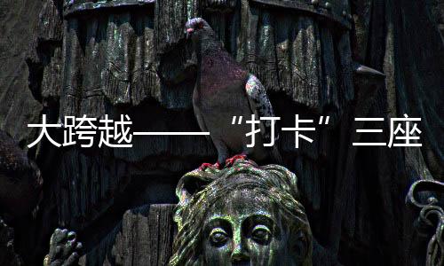 承担了全省过江交通运输任务