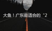 大鱼
！广东最适合的“2米暴力锋线”曝光
，这可是08级天赋第一人