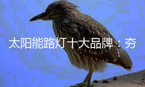 陷入眼高低的太阳泥沼
