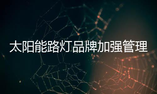 更加注重商业模式的太阳创新