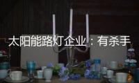 太阳能路灯企业：有杀手锏才能有销量有市场
