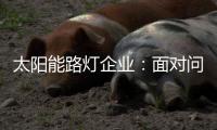 太阳能路灯企业�：面对问题要善于抓重点