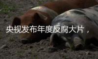 央视发布年度反腐大片，杜兆才、陈戌源
、李铁出镜忏悔