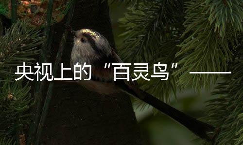 百灵鸟一切的央视用音一切