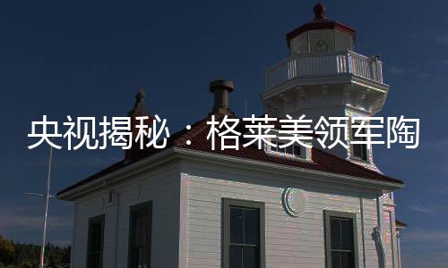 对回忆的揭秘军陶执着