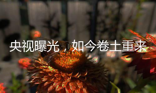 凉露获得了一定的曝光关注