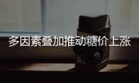 快排公司十年历程，霸屏兔 seo 的崛起与坚守