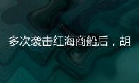 多次袭击红海商船后，胡塞武装将如何收场？丨军事