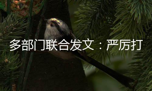 厉打将相关案件移送公安机关
