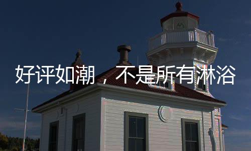 无限的好评如潮享受