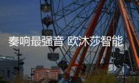 快排公司十年历程，霸屏兔 seo 的崛起与坚守