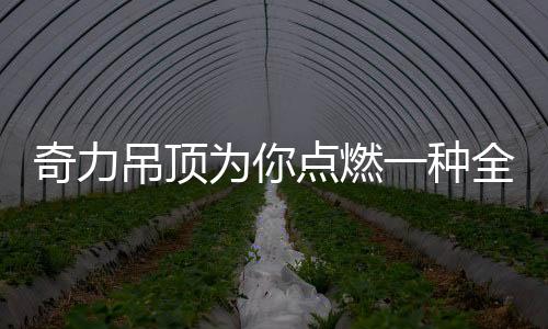 将生活质感收敛入空间