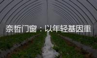 奈哲门窗
：以年轻基因重塑行业格局，一线品牌的破界成长之路