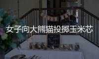 女子向大熊猫投掷玉米芯 成都熊猫谷通报：终生禁入