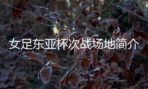 女足华城体育场落成后