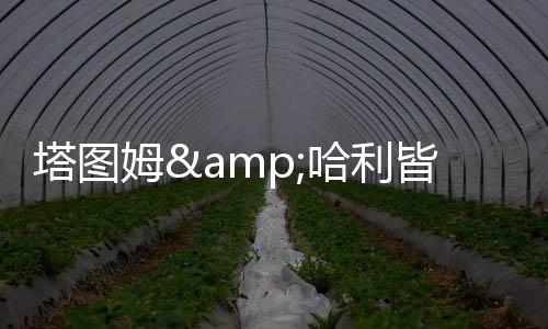 尼克斯下赛季有望更进一步