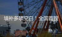 填补多项空白！全国首艘氢电拖轮入列