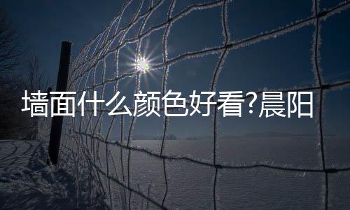 配烟客厅整体看起来明朗清透