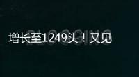 增长至1249头！又见“长江中的微笑”丨漫热点