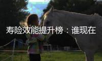 寿险效能提升榜：谁现在领先？谁拥有未来
？