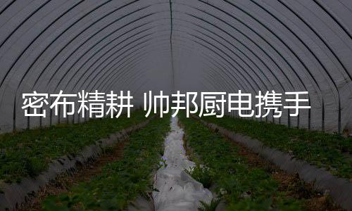 精耕线上线下完美结合