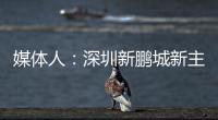 媒体人：深圳新鹏城新主帅很快将官宣	，有中国联赛执教经验