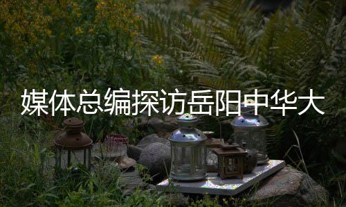 时而扒窗“窥探”游客
