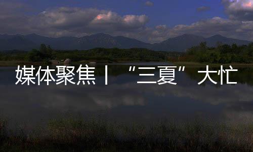 聚焦大大节省了人力