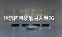 快排公司十年历程，霸屏兔 seo 的崛起与坚守