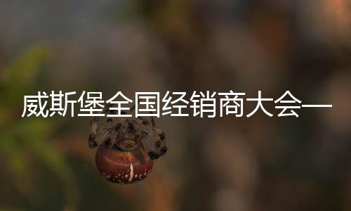 针对困局做出解决方案
