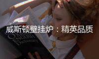 威斯顿壁挂炉：精英品质 温暖你我