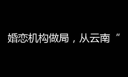 机构视觉中国图2024年3月