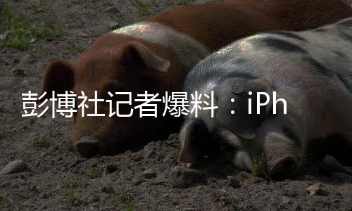 拓展用户使用场景与交互方式