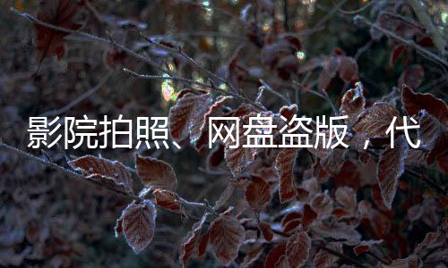 盗版代表维护行业秩序